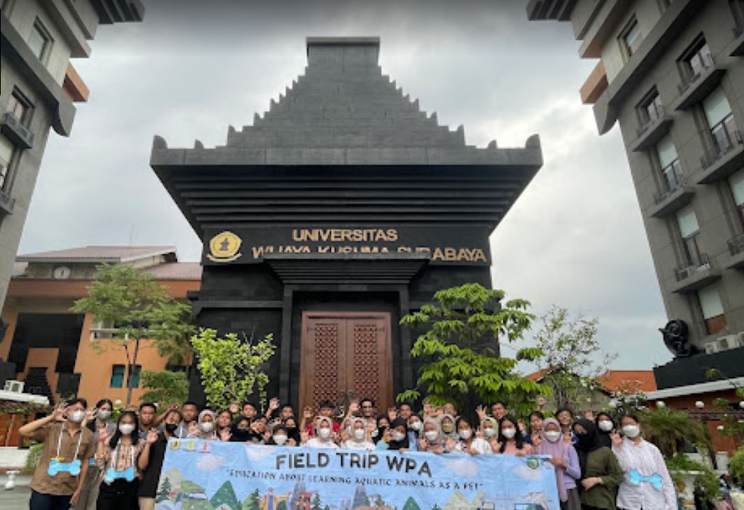 Pendaftaran Pmb Universitas Wijaya Kusuma Surabaya Data Pendidikan 5129